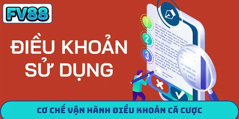 Điều khoản điều kiện fv88 Cơ chế vận hành điều khoản cá cược